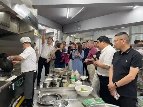 駐馬店餐協走訪四市圓滿收官，食品銷售經驗交流助力產業升級